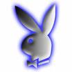 tros beau
